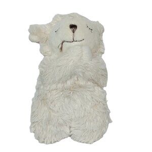 Praying White Teddy Bear Plush Stuffed Animal 7 Inch